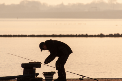 Cooperativas fortalecem a pesca sustentável ao organizar produção e acesso a mercados, observa Joel Alves.