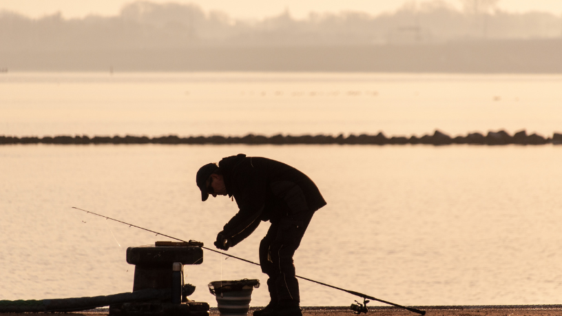 Cooperativas fortalecem a pesca sustentável ao organizar produção e acesso a mercados, observa Joel Alves.